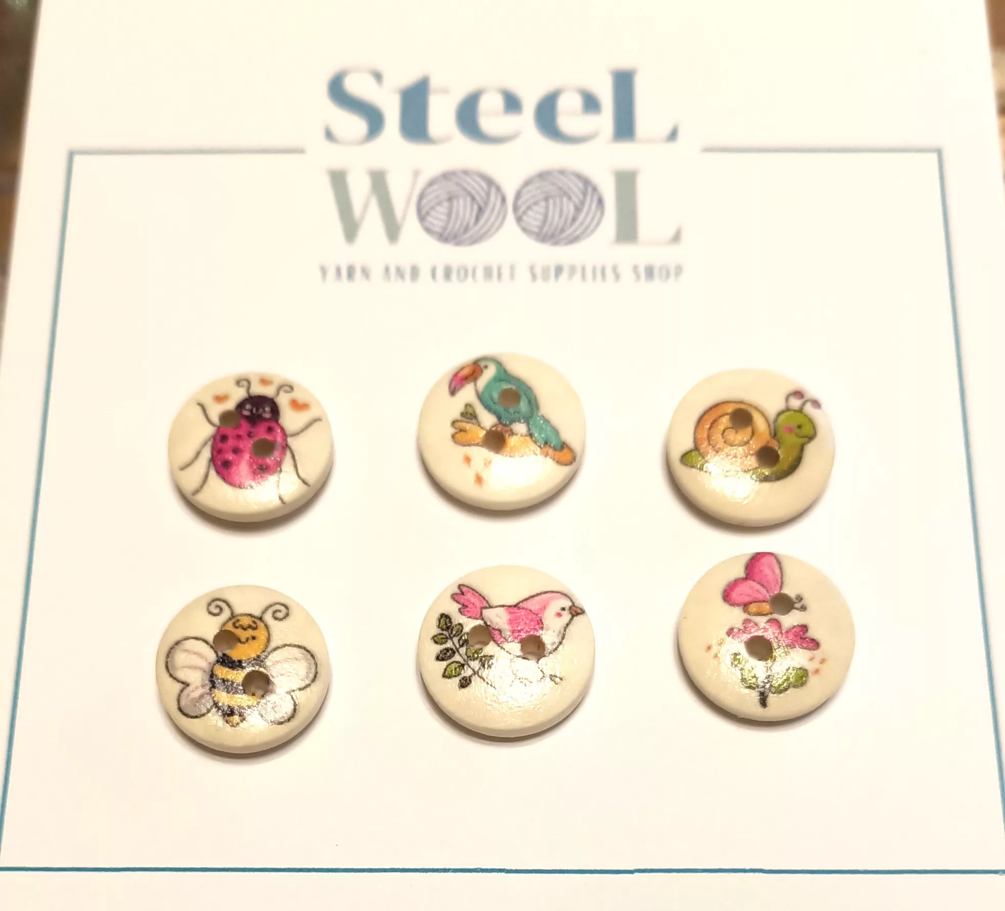 1000007122 - Steel Wool