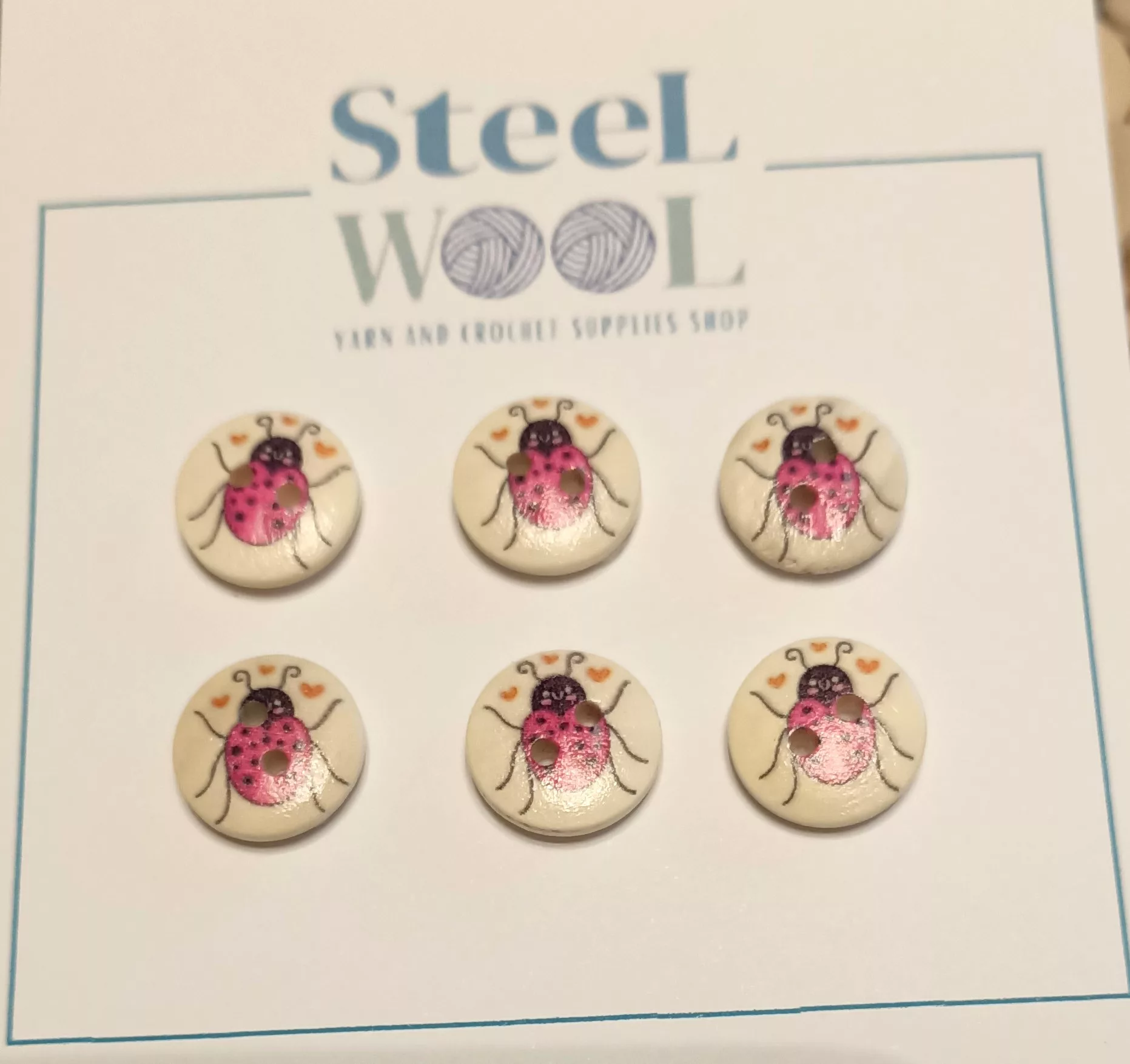 1000007127 - Steel Wool